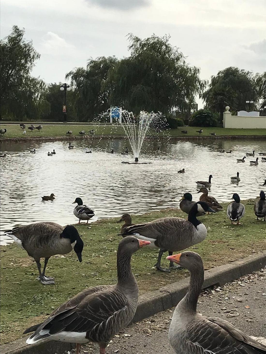 Campsite Sea Breeze, Parkdean Southview,